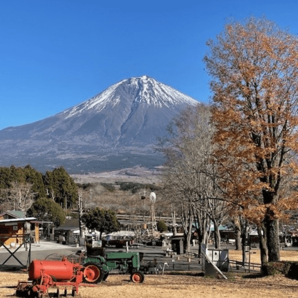 【12/6-12/8】羊からの贈りもの　まかいの牧場ウール倶楽部展示会