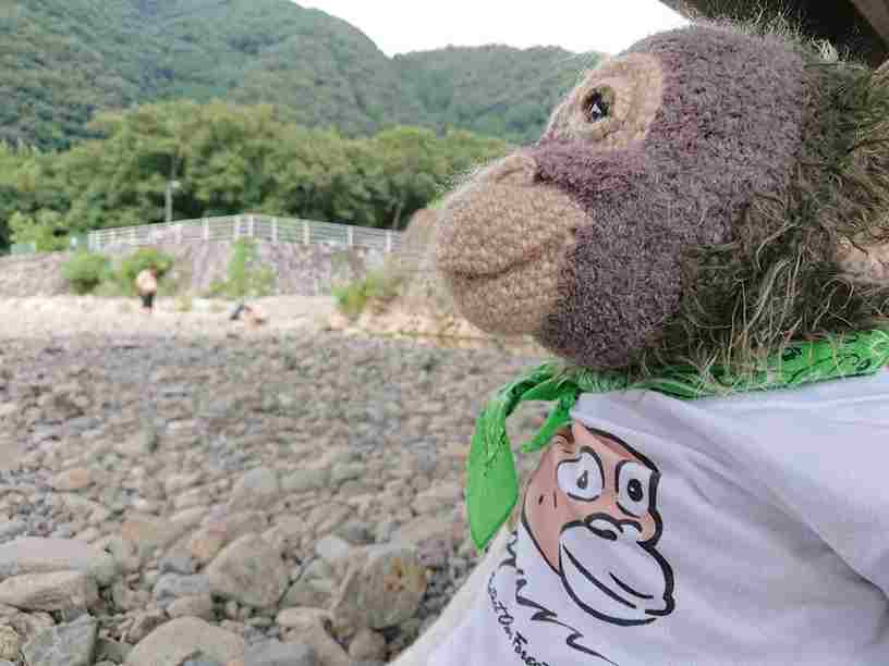 作品名：オラン（ボルネオオランウータン）
身長：82センチ
体重：2.5キロ
https://linktr.ee/OrangFujita