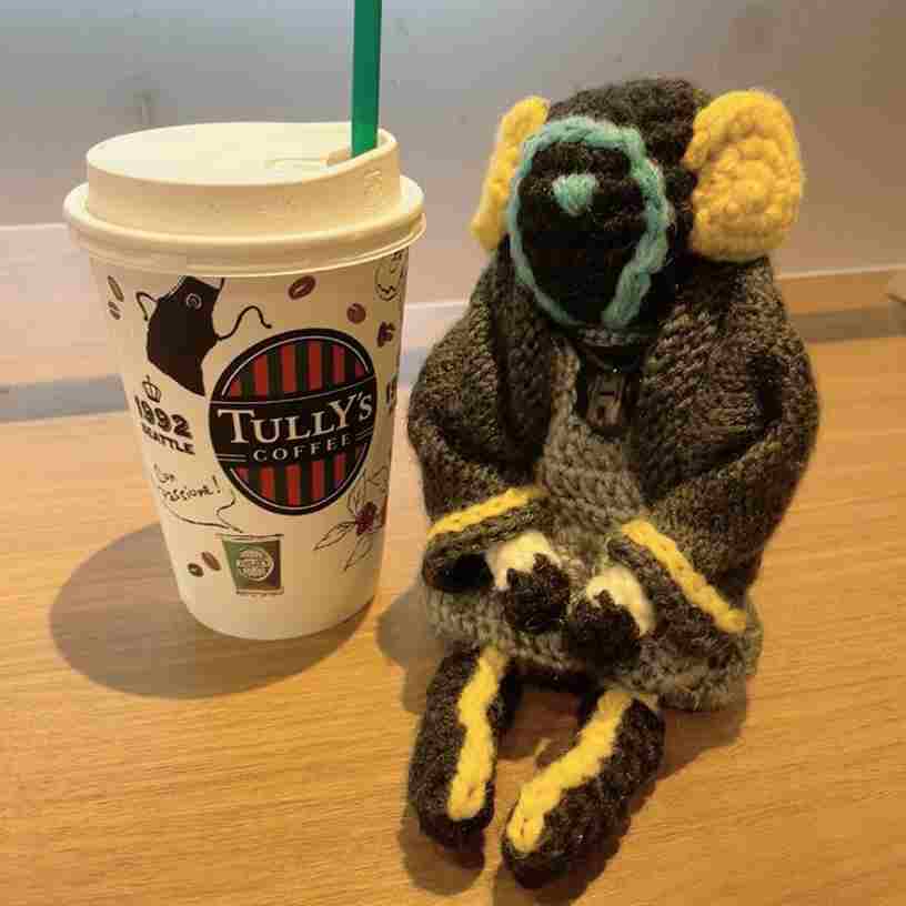 友人のオリジナルキャラクターを許可を得て立体化したあみぐるみです。