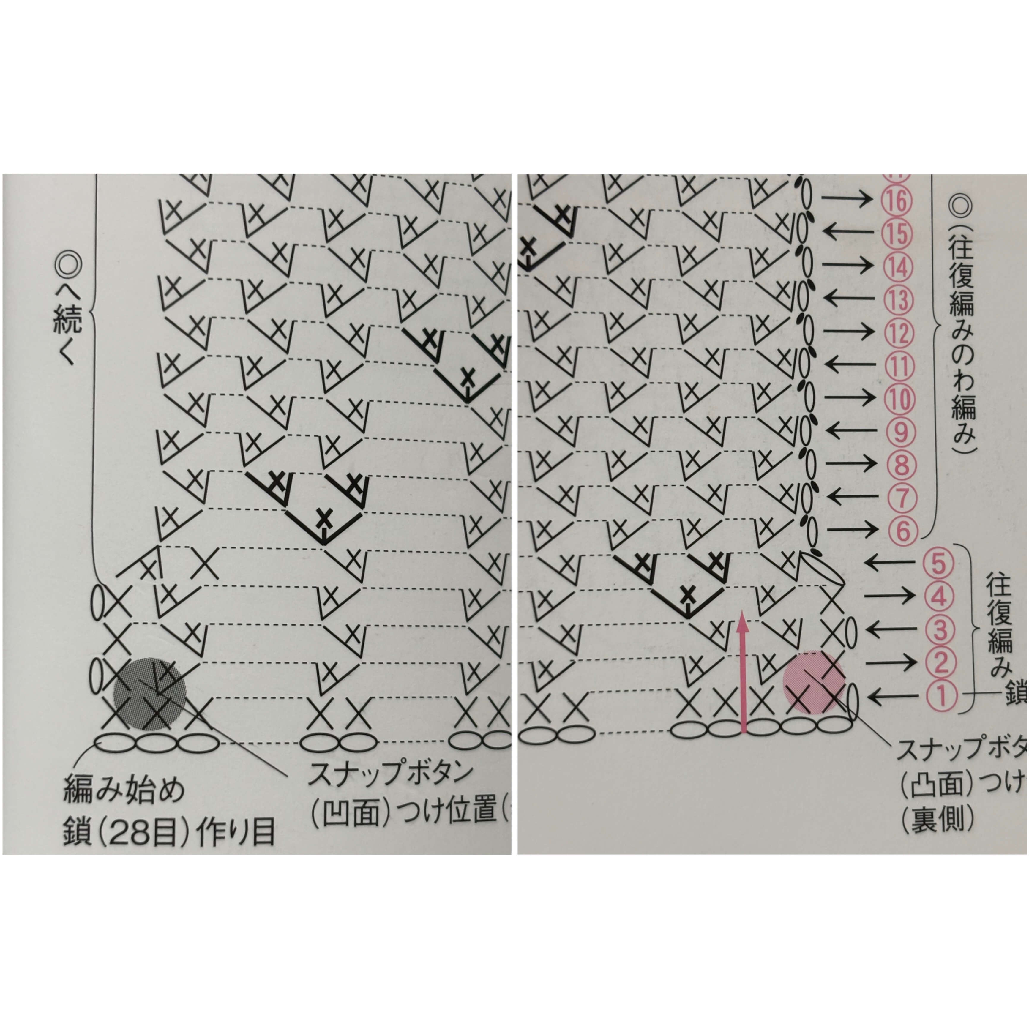 ぽてとさん